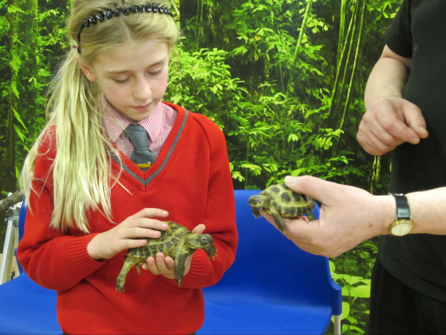 School life at Elm Green